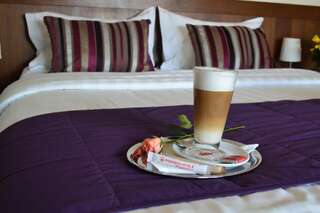 Отель Phoenicia Comfort Hotel Бухарест Двухместный номер с 1 кроватью-1