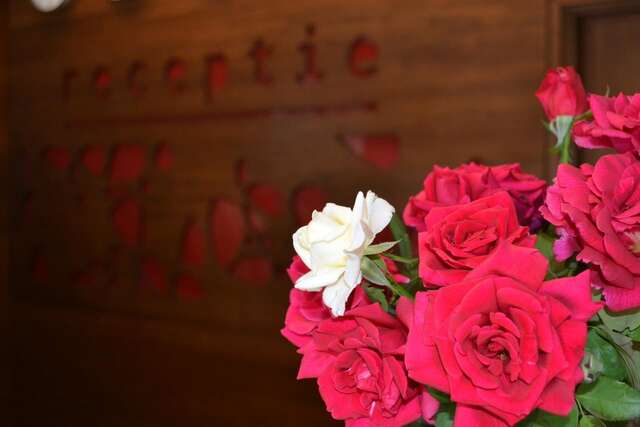 Отель Phoenicia Comfort Hotel Бухарест-20