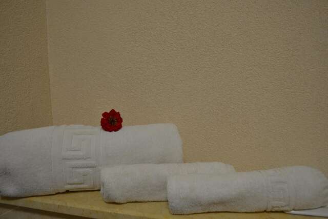 Отель Phoenicia Comfort Hotel Бухарест-28