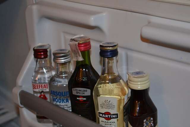 Отель Phoenicia Comfort Hotel Бухарест-29