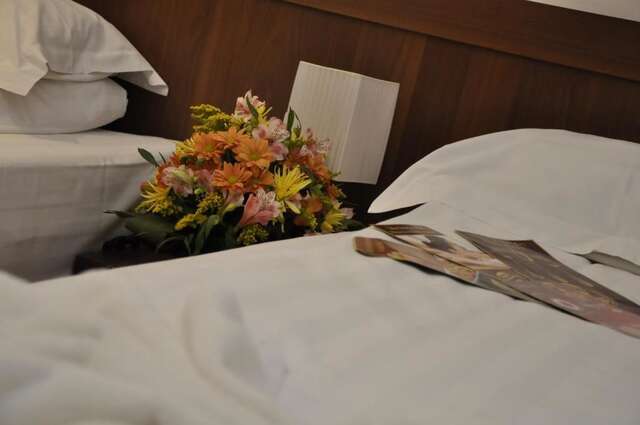 Отель Phoenicia Comfort Hotel Бухарест-58